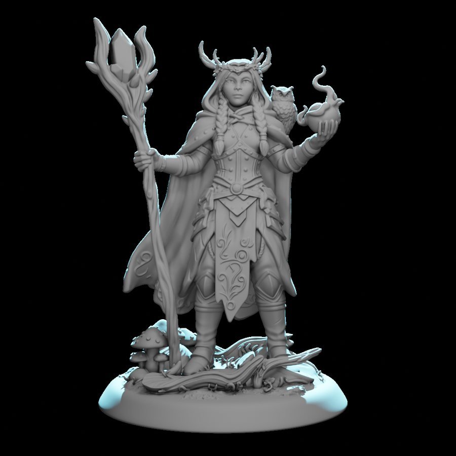 Druid