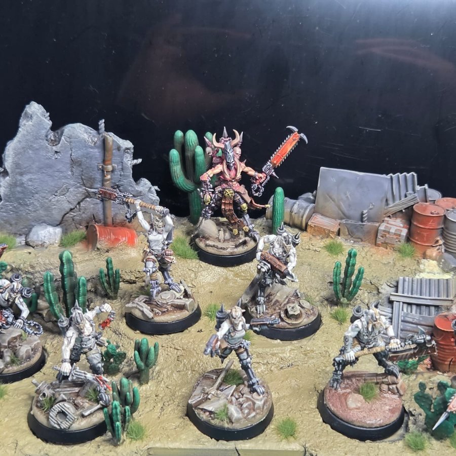 Desert patrol
